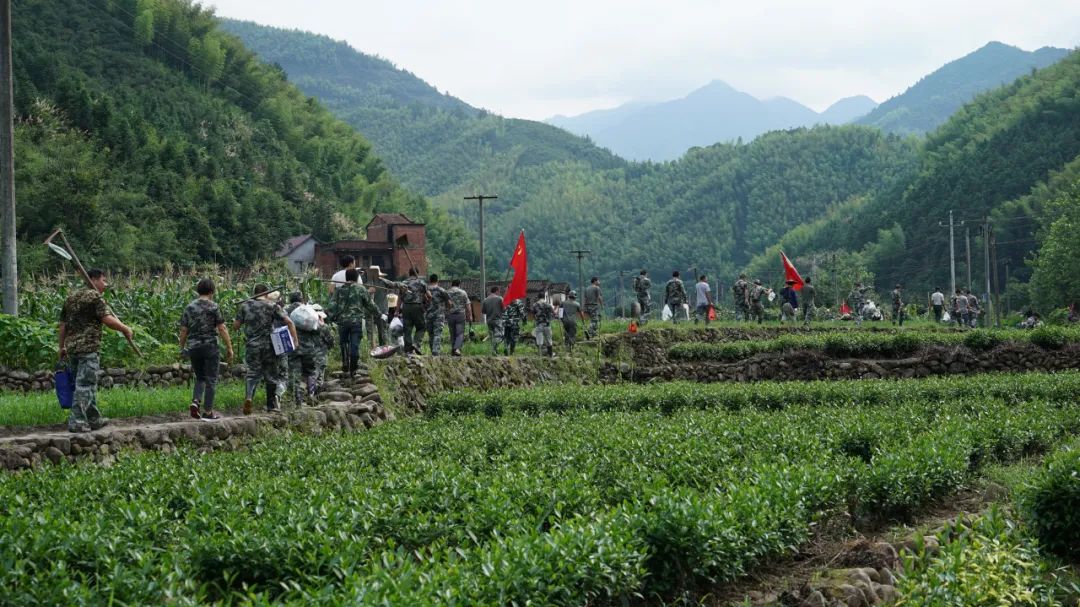 暴雨袭来，大峦口“天降神兵”——危急关头，94户198名群众如何全部安全转移