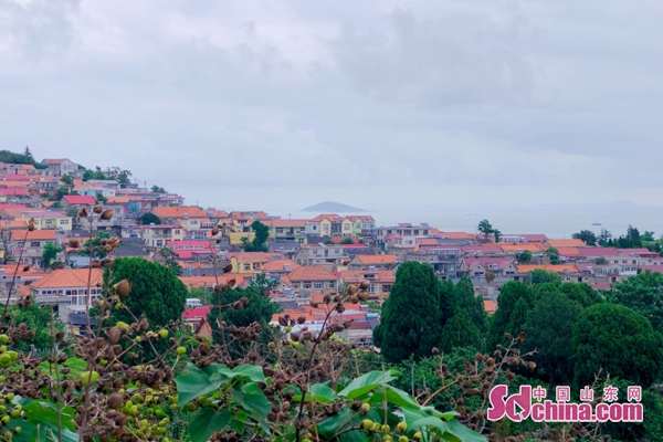 崂山最有情调的民宿,崂山向往小筑民宿