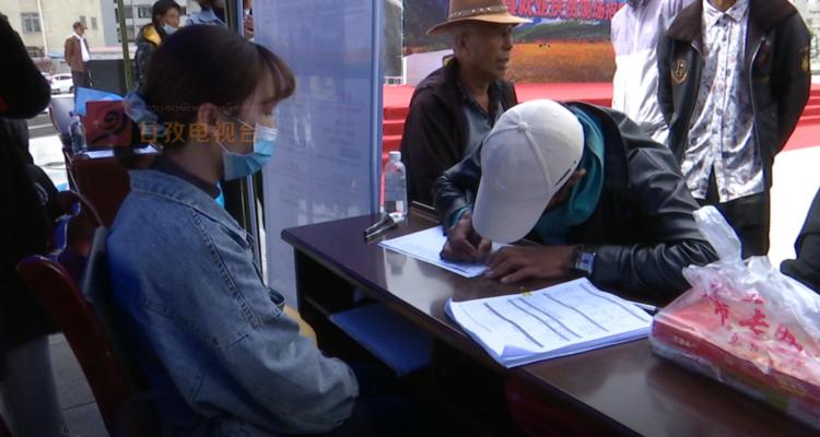 稻城县城招聘单位,稻城工作招聘信息