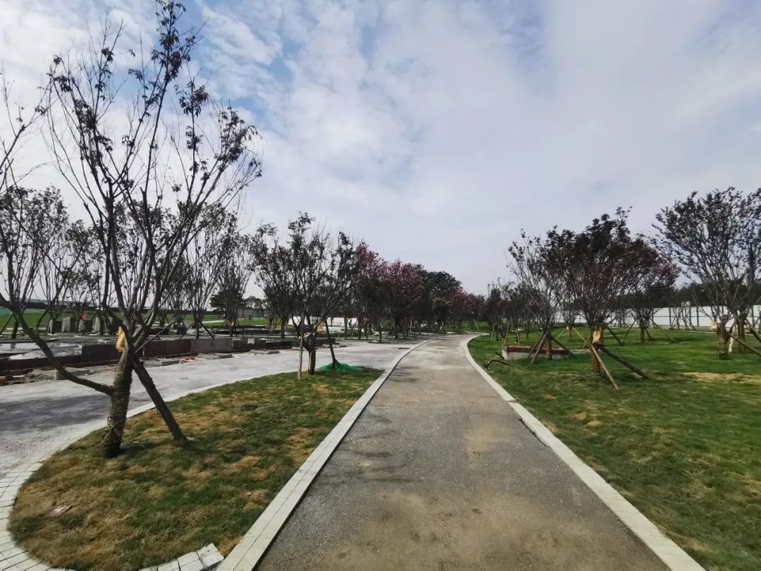 空港公园最新消息,空港体育公园篮球最新情况