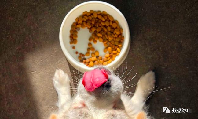 五月电商有什么活动,五月电商节