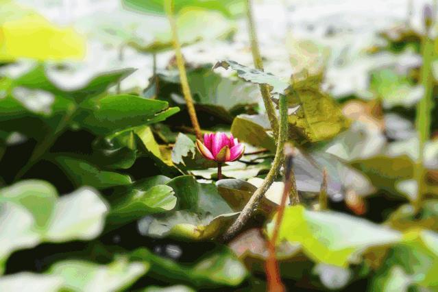 石川河最美风景,石川十美美景图片