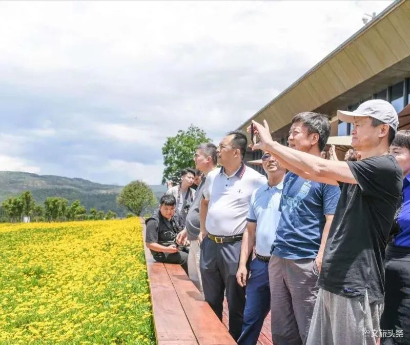 马云打卡衢州网红水亭街,马云弥勒太平湖森林公园