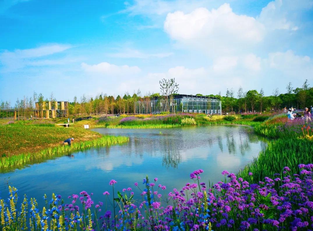 上海乡村振兴产业基地,上海宝山开发定位