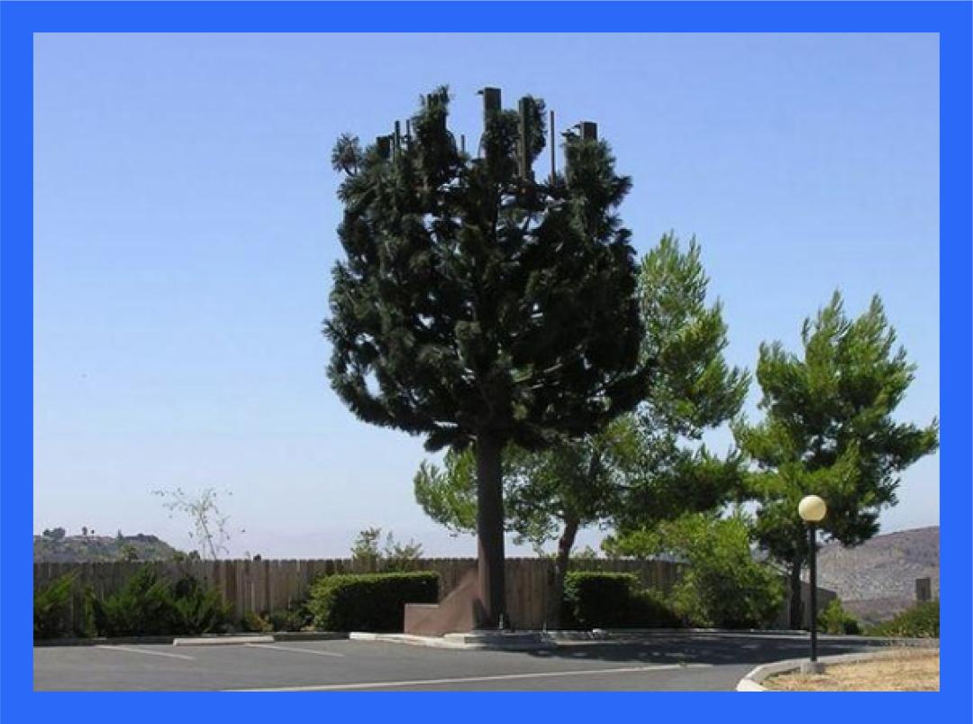 5G都来了，怎么还有人在网上买防辐射*裤内**