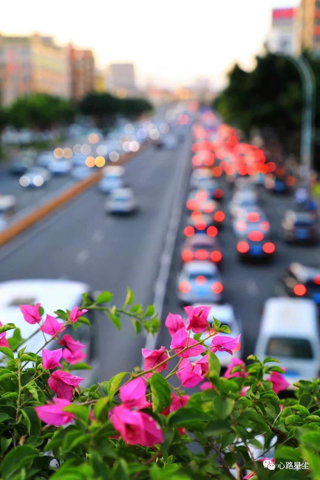 收缩压和舒张压哪个高更可怕,心路星尘