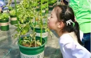 无锡附近哪里有夏令营值得推荐,无锡儿童夏令营