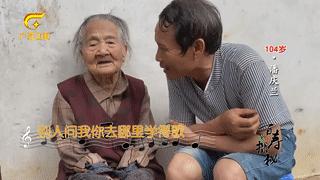 牛胃里的草叫什么,牛胃里的牛草黄