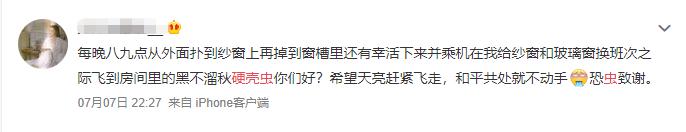 肉眼很难看到的小黑虫子,常见的小黑虫