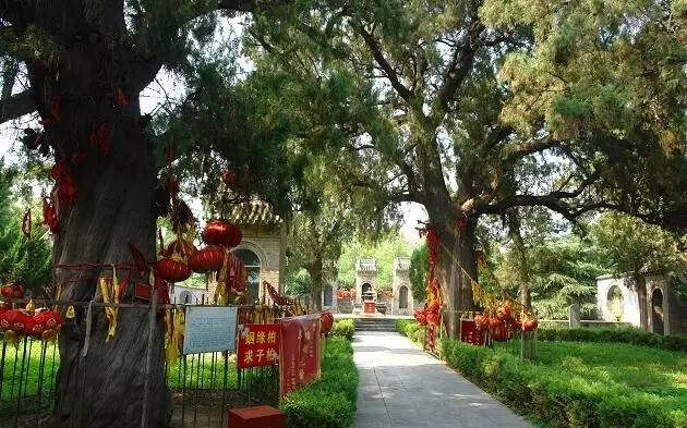 孟州八景,孟州有名的风景