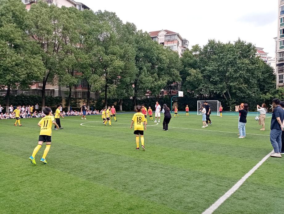 足球体育改革,体育专业协会成立