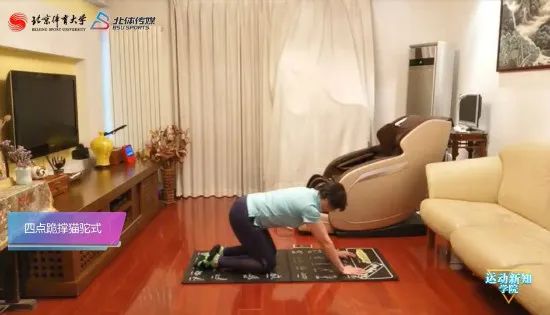 戴着护腰能锻炼吗,戴护腰能做护腰操吗