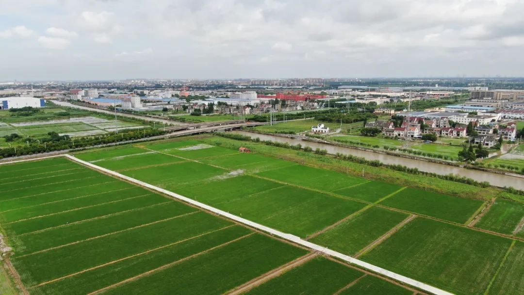 特色产业致富新模式,亿元创业好项目