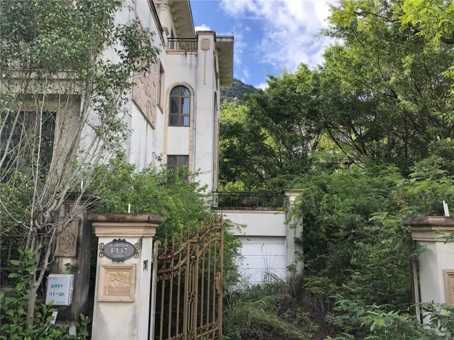 精选超低价笋盘,最便宜的笋盘推荐