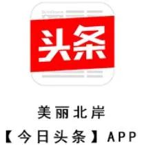 兴茂杨茂新最新消息,兴茂集团杨茂新