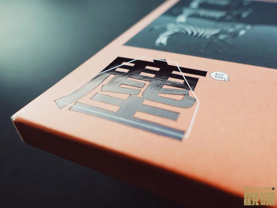 薛之谦金蝶,薛之谦双碟图文