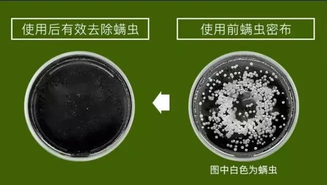 德国旱金莲迷迭香洗发皂,德国何首乌洗发皂