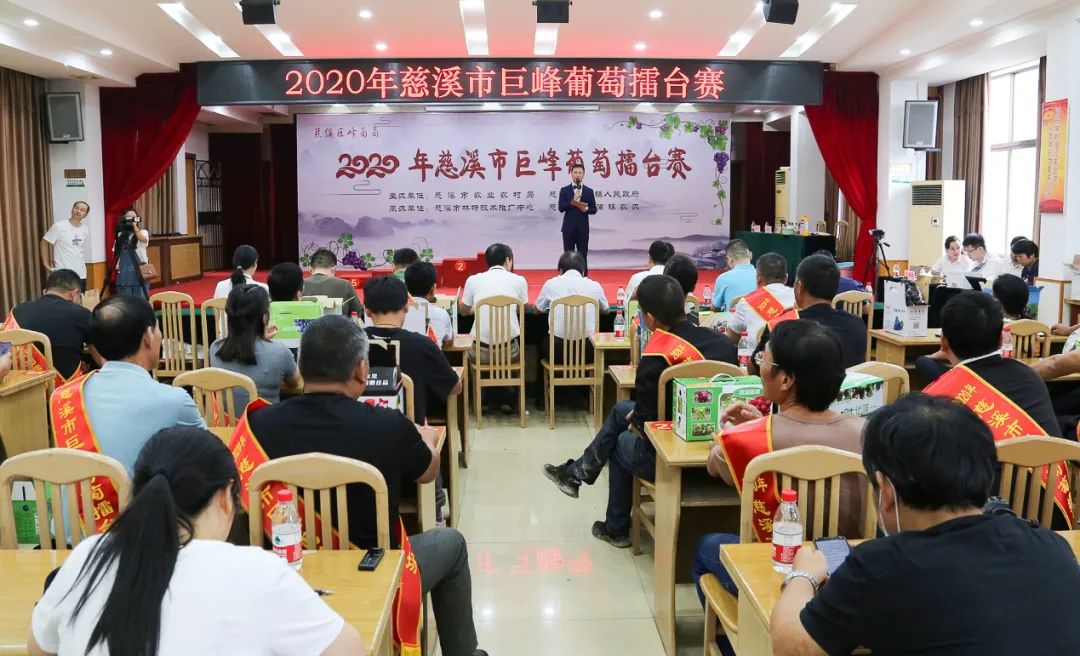 慈溪巨峰葡萄哪家强？这些农场和合作社获奖啦