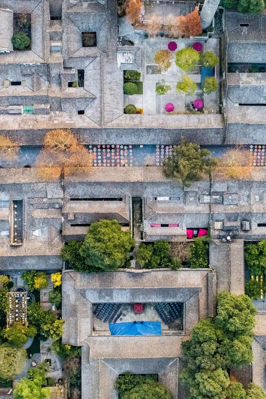 成都拍了拍你，一亿成都粉get心动讯息