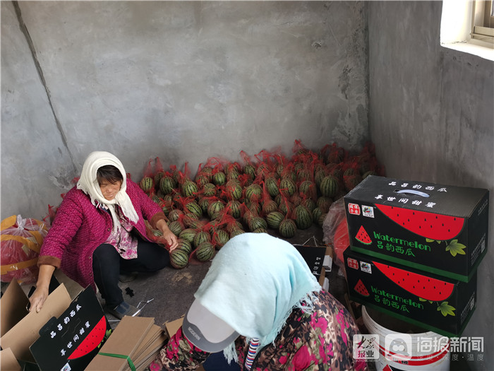 东营区牛庄镇谭家村规划图,东营市东营区牛庄镇谭家村