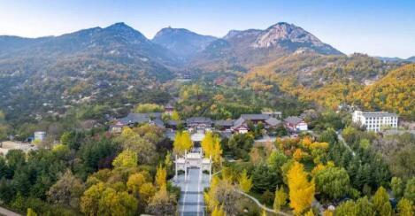 免费！半价！1000000个产品等你来撩“好客山东游品荟”来啦