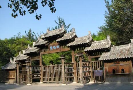 免费！半价！1000000个产品等你来撩“好客山东游品荟”来啦