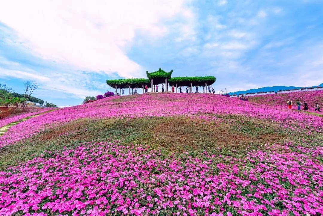 攀枝花旅游景点免费活动,四川攀枝花旅游景点大全