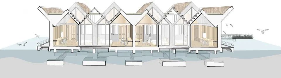 探索崇明东滩湿地公园的奥秘,崇明东滩湿地科研中心