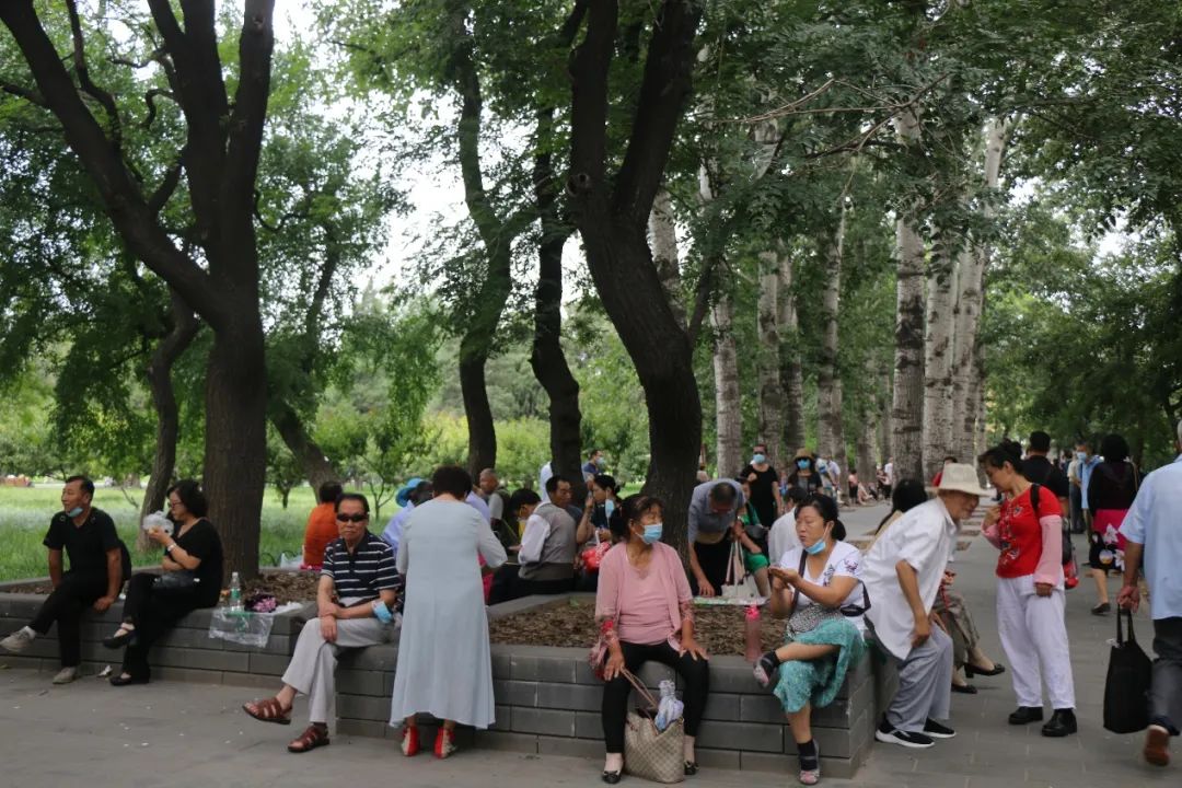 北京市属公园哪些已经开放,北京开放的12家公园