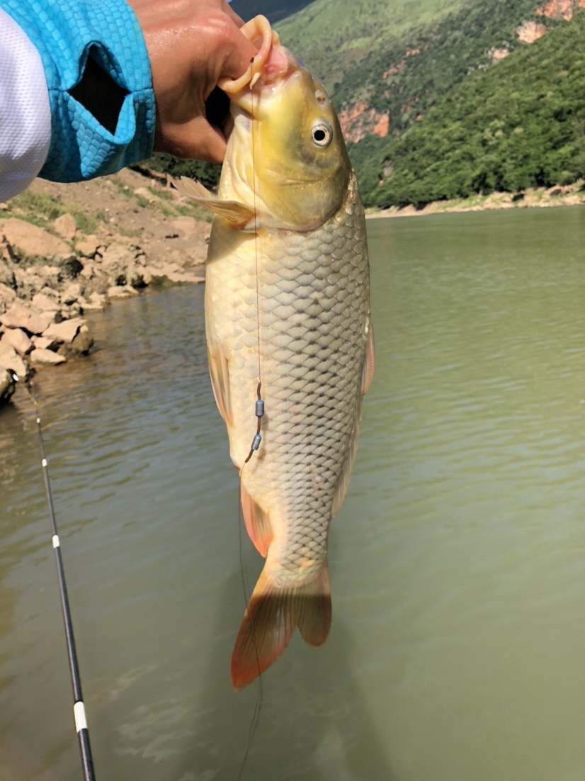 雷打滩水电站钓棚图片,雷打滩水电站钓鱼棚电话