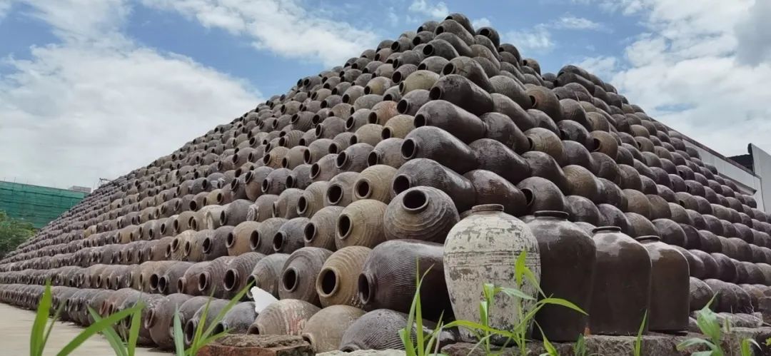 好喝又能微醺的米酒,好喝的起泡型米酒