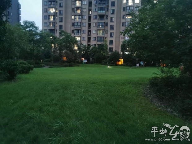 杂草丛生物业清理,小区杂草丛生物业不管怎么办