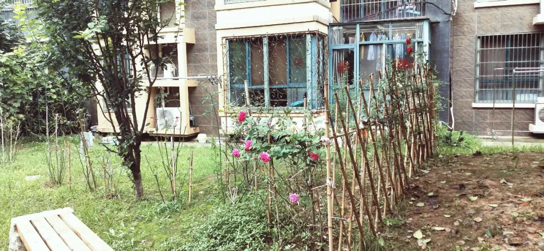 地段很好质量不好的房子,地段好配套全还是现房