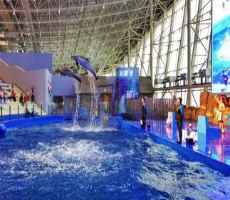 刘公岛夏令营怎么报名,威海刘公岛儿童夏令营