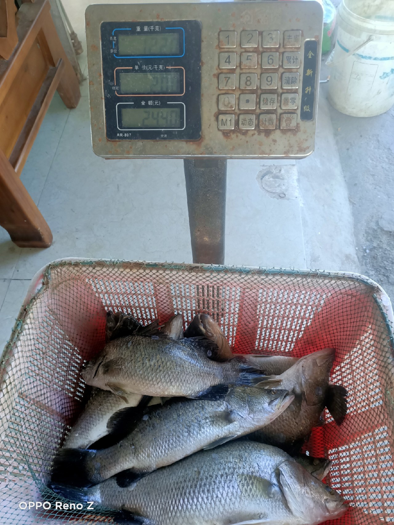 海钓初级篇新手进来看一看,海钓场专攻腊鱼教学