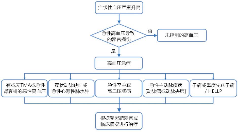 高血压急症降压最快的药物是,治疗高血压急症的常用降压药物