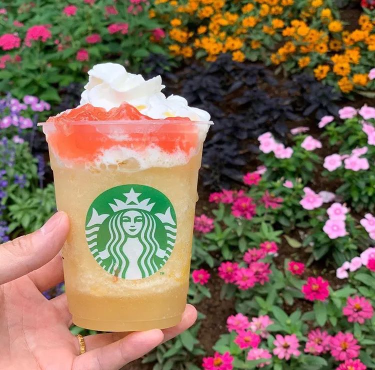 六本木分店,六本木咖啡店视频