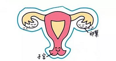 突然肚子大腰粗是癌,腰围较大觉得肚子不舒服腰酸