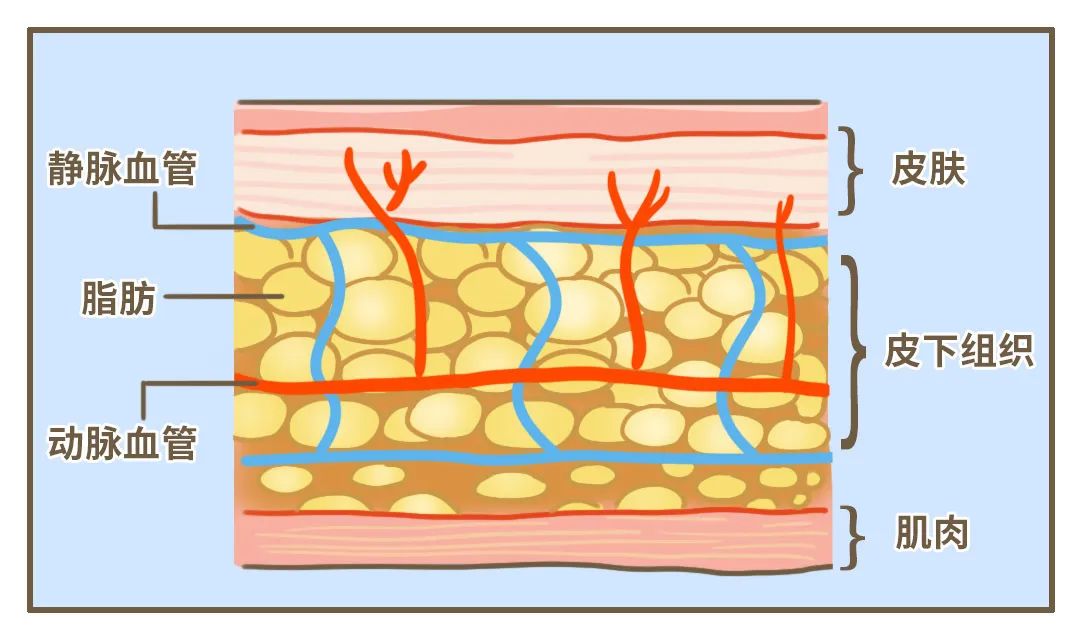早上起床「胖三斤」，女生为什么那么容易肿啊？?