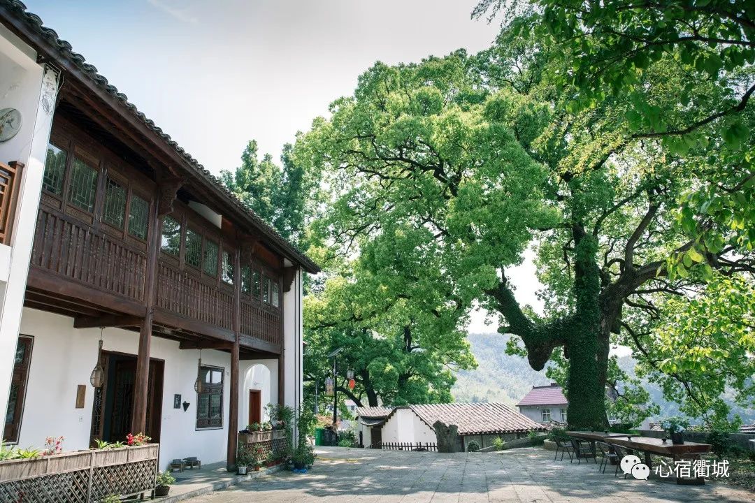 衢州十大顶级民宿,适合冬天去的衢州民宿