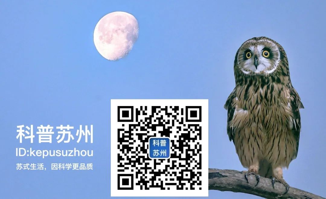 戴口罩闻不见口臭是口源性口臭么,戴上口罩口臭
