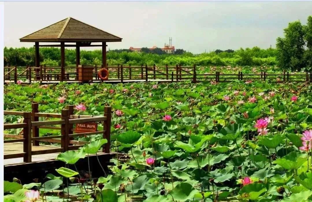周末就能打卡的暑假超火亲子度假酒店，山林海景还有超大免费儿童乐园—广州南沙花园酒店亲子游记