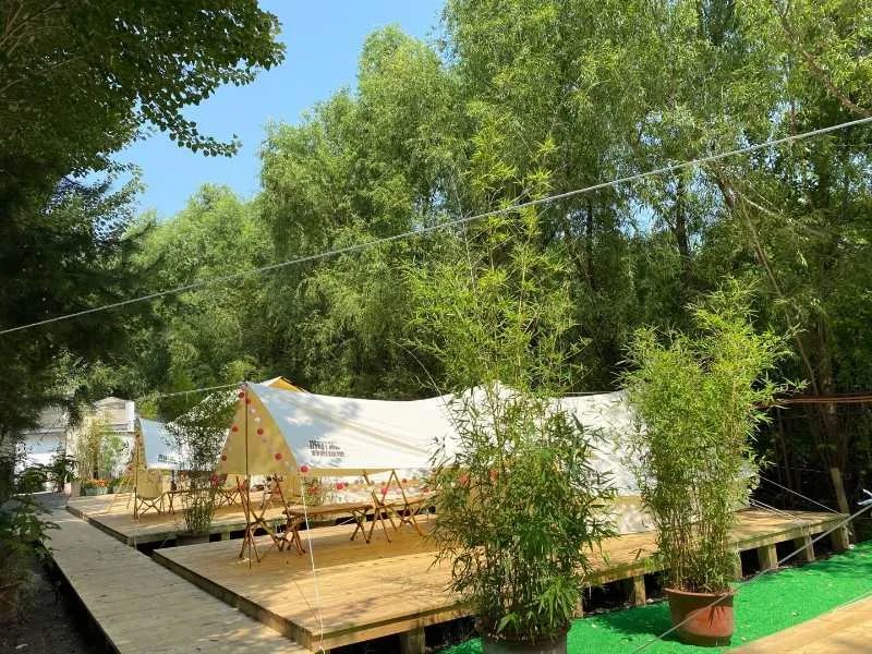 简直认不出这是哈尔滨！三种姿势，别样过夏天