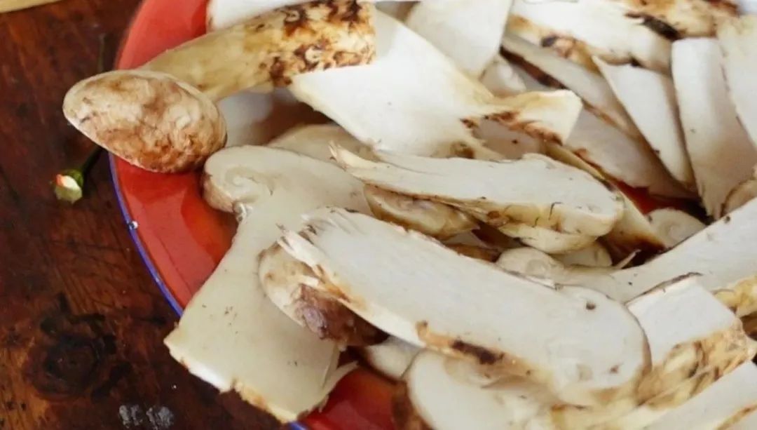 松茸比普通菌类贵多少,最好的松茸是哪里的