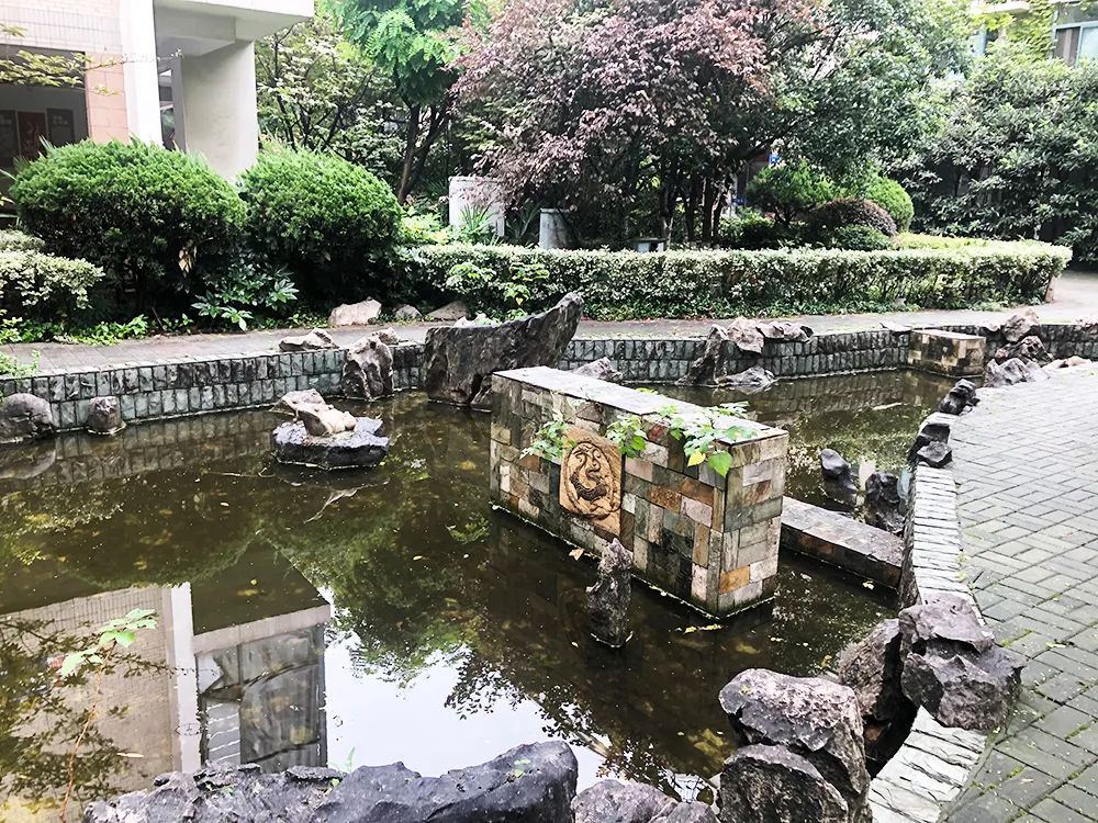 鼓楼第二梯队小学,鼓楼区二梯队小学