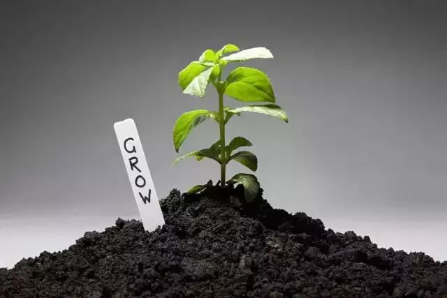 枯草芽孢杆菌能跟杀菌剂一起用么,枯草芽孢杆菌不能混什么杀菌剂