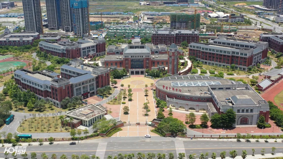 肇庆新区发展未来前景如何,肇庆大旺新区大市场