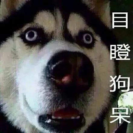 8岁娃得了哮喘，竟是因为这种小虫！千万小心，你家也有