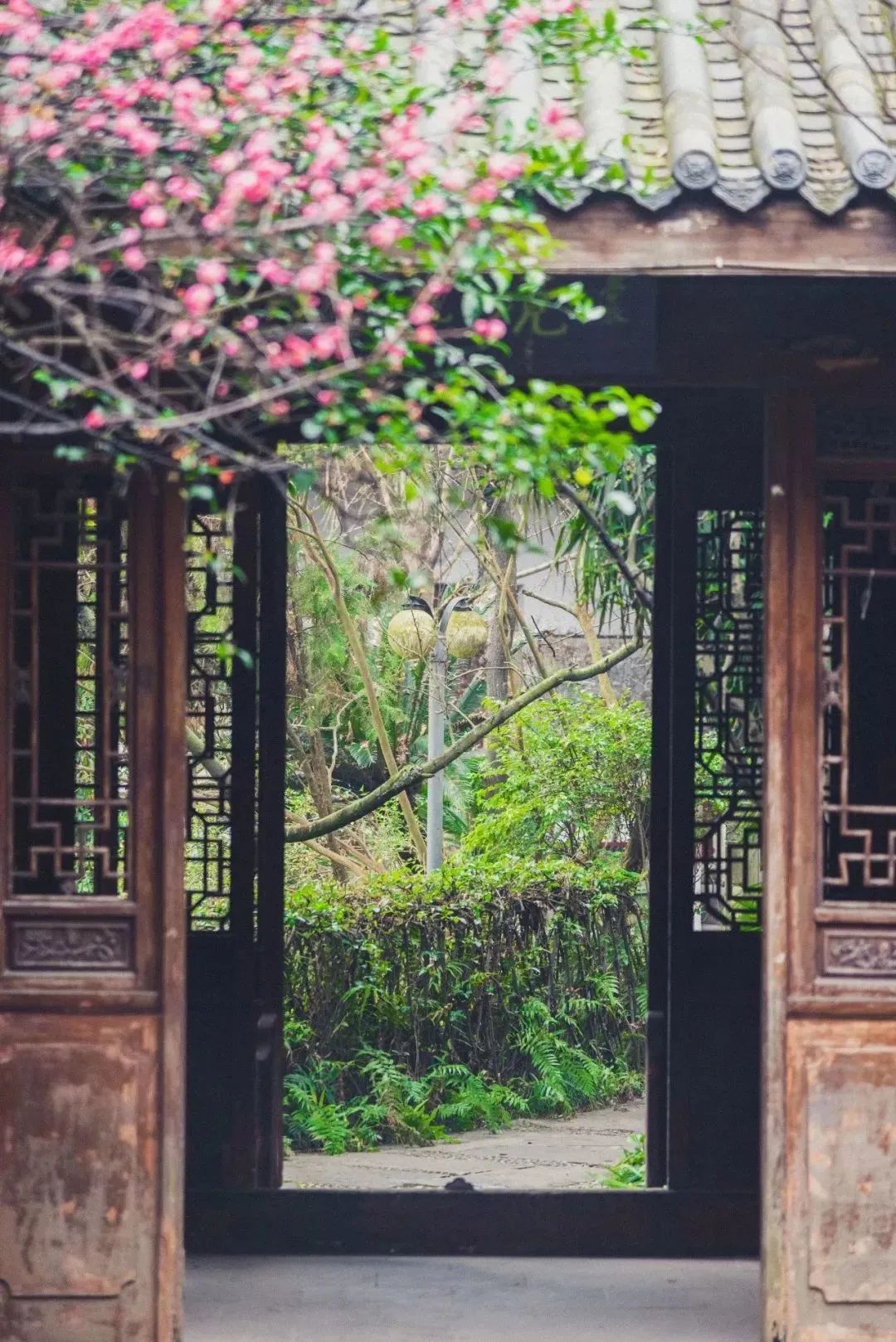 成都免费游玩景点推荐,成都景点免费门票一览表