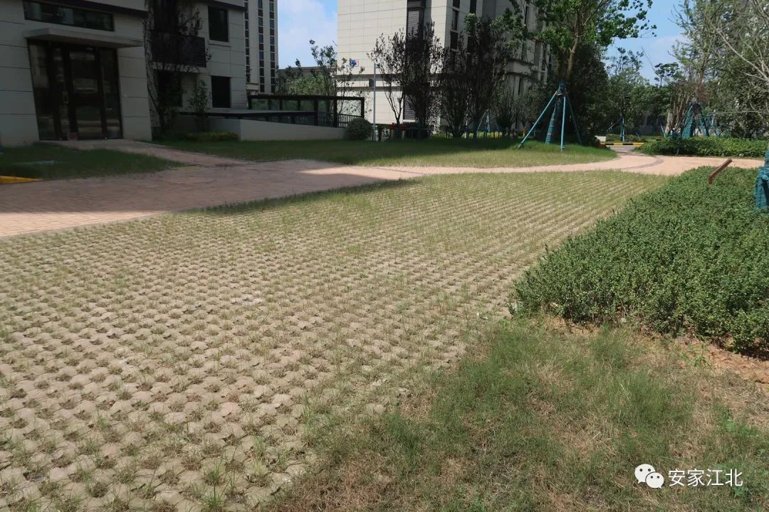 南京安置房排名前十,南京低容积率富人区